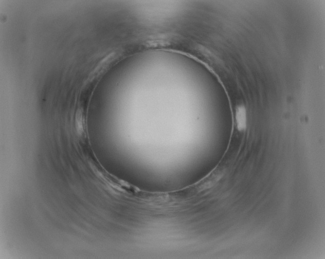 X0000071971444200607282046