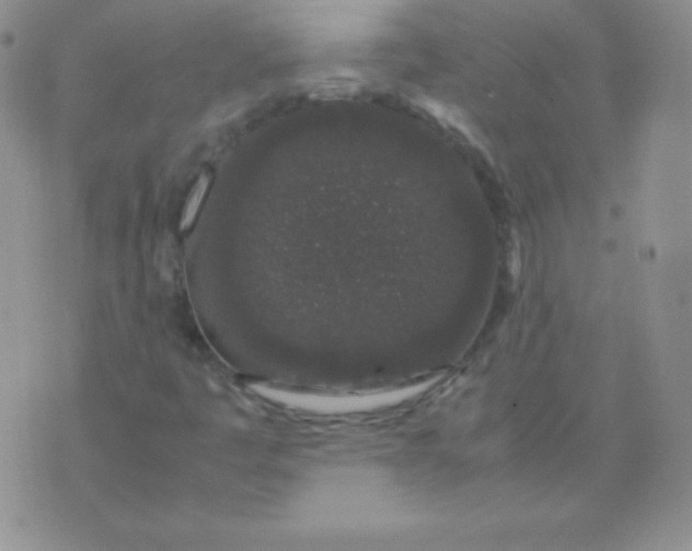 X0000071971445200607282046