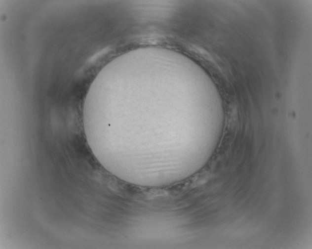 X0000071971446200607282046