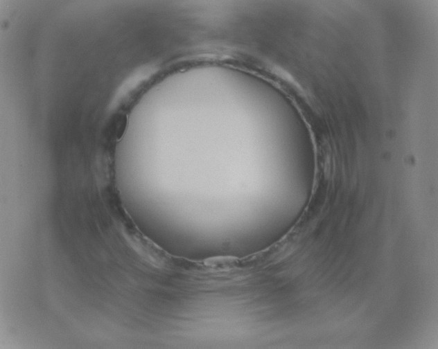 X0000071971448200607282046