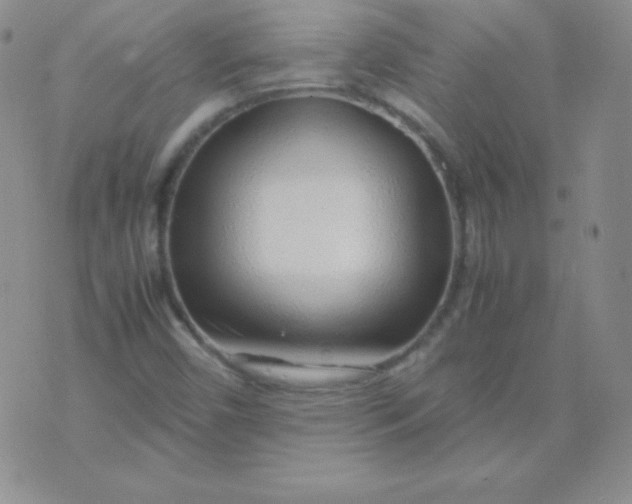 X0000071971450200607282046