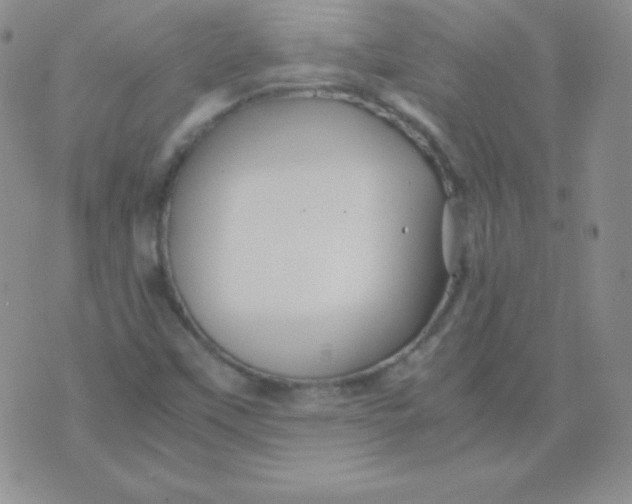 X0000071971451200607282046