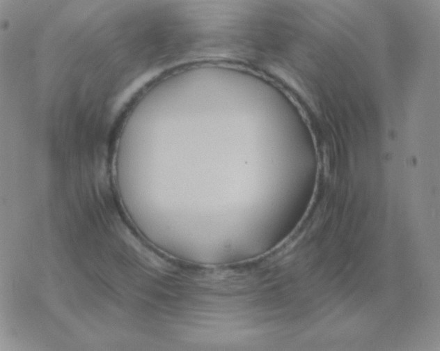 X0000071971452200607282046