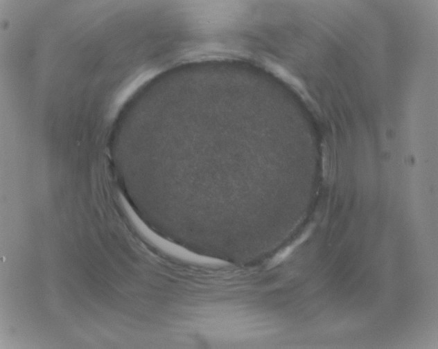 X0000071971453200607282046