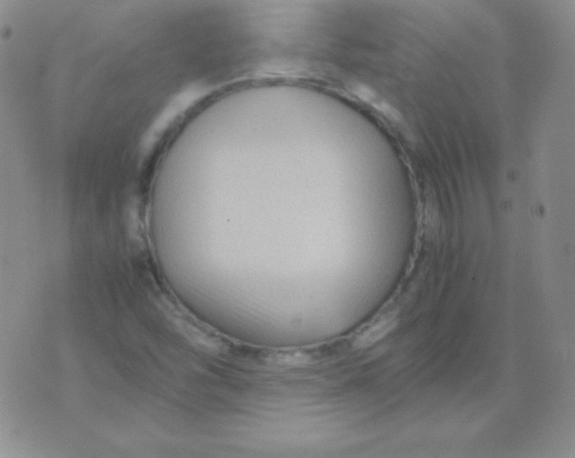 X0000071971454200607282046