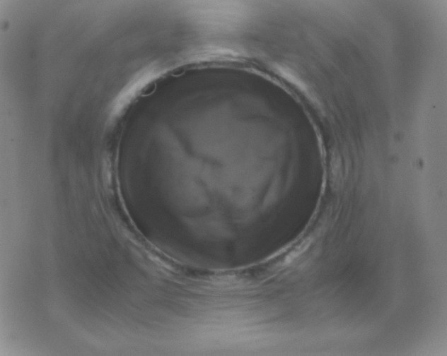 X0000071971455200607282046