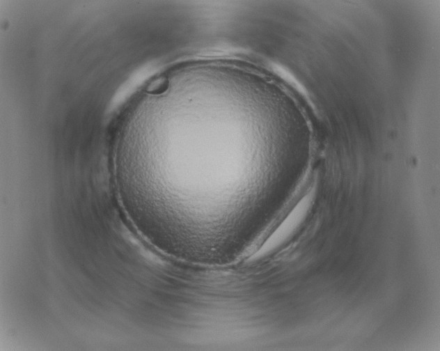 X0000071971456200607282046