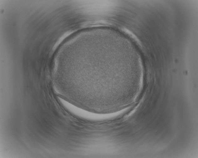 X0000071971457200607282046