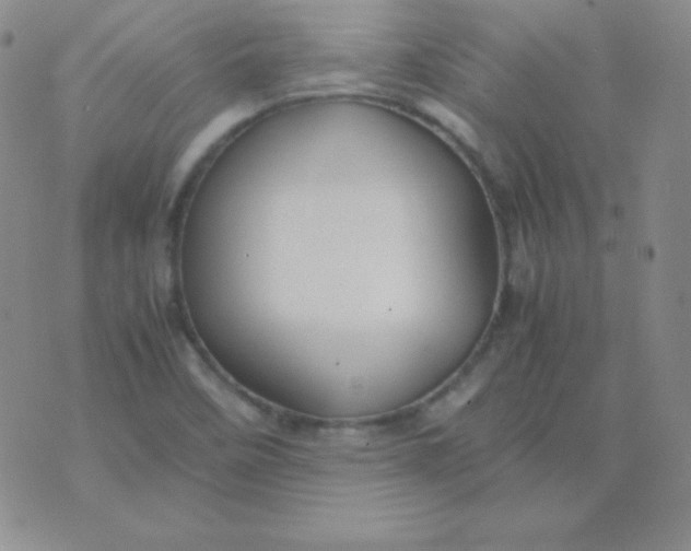 X0000071971458200607282046