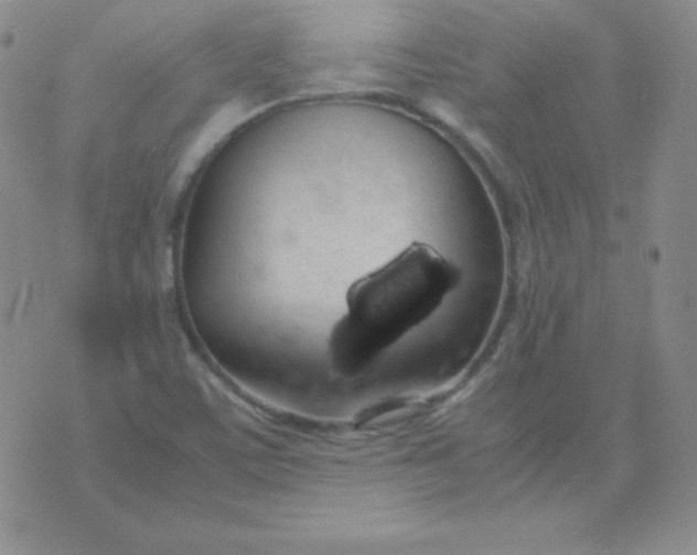 X0000071971459200607282046