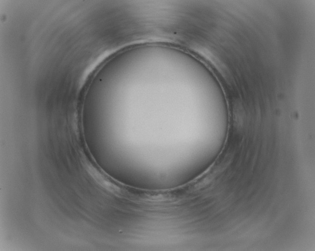 X0000071971460200607282046