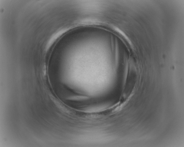 X0000071971461200607282046