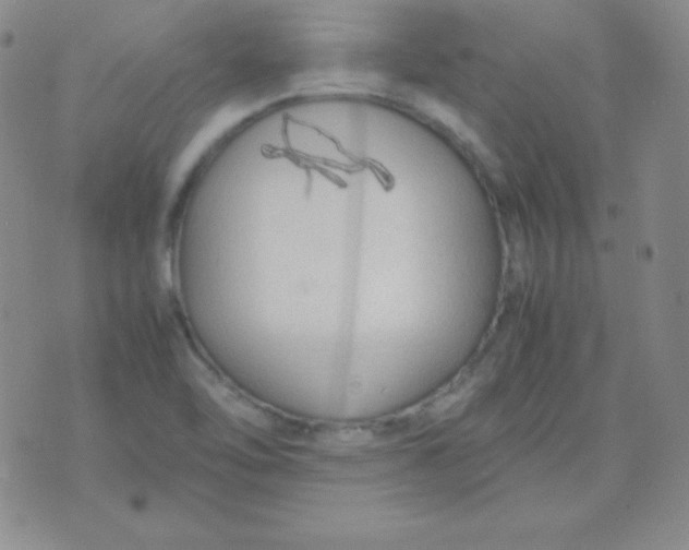 X0000071971462200607282046