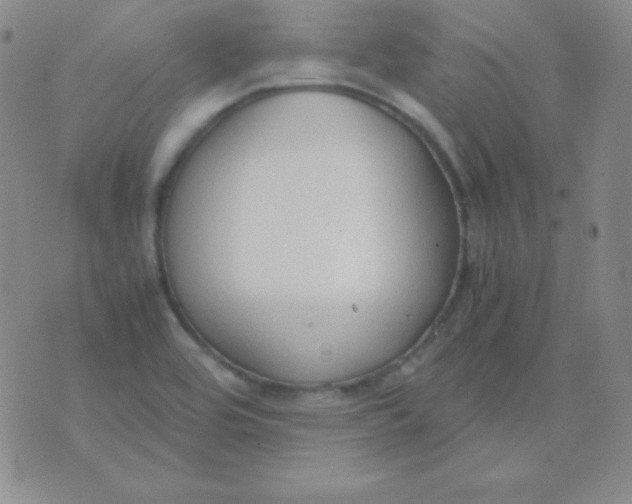 X0000071971464200607282046