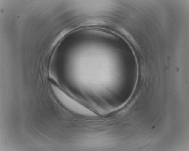 X0000071971465200607282046