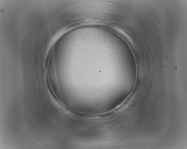 X0000071971467200607282046