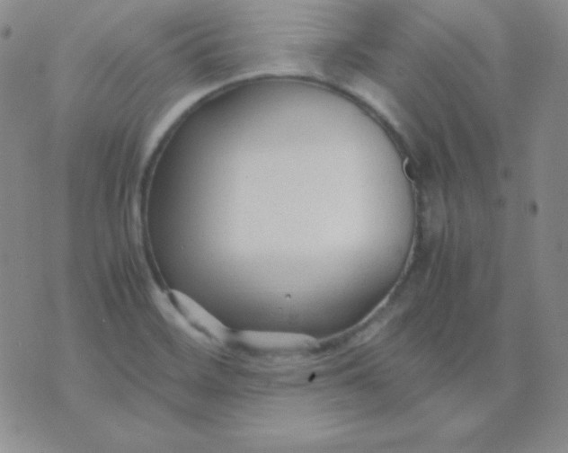 X0000071971468200607282046