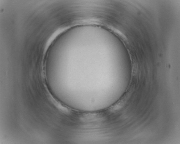 X0000071971470200607282046