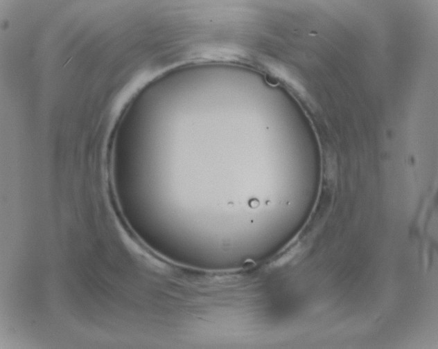 X0000071971471200607282046