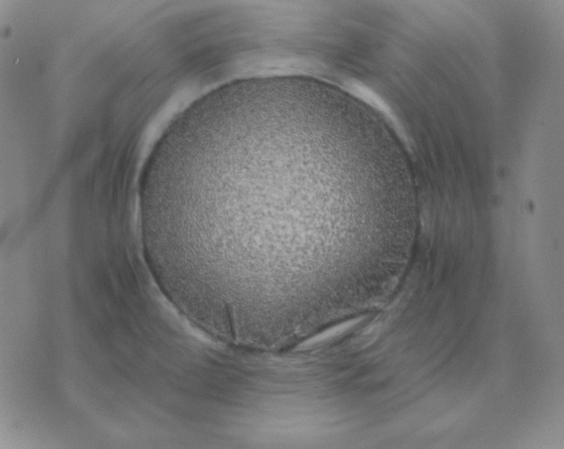 X0000071971472200607282046