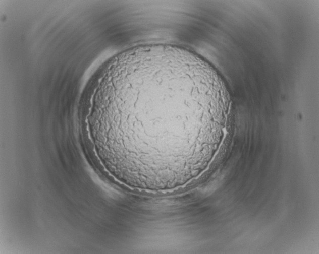 X0000071971474200607282046