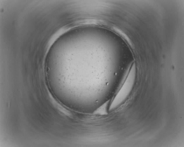 X0000071971475200607282046