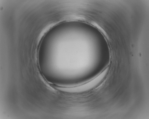 X0000071971477200607282046