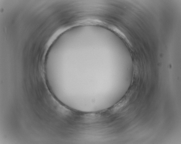 X0000071971478200607282046