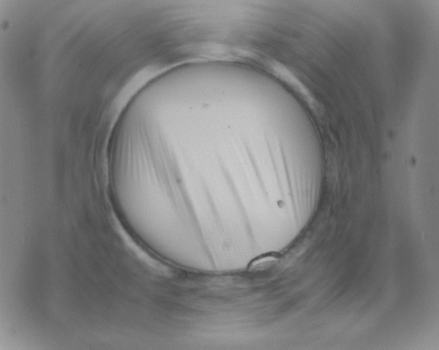 X0000071971479200607282046