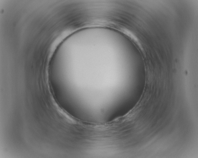 X0000071971480200607282046