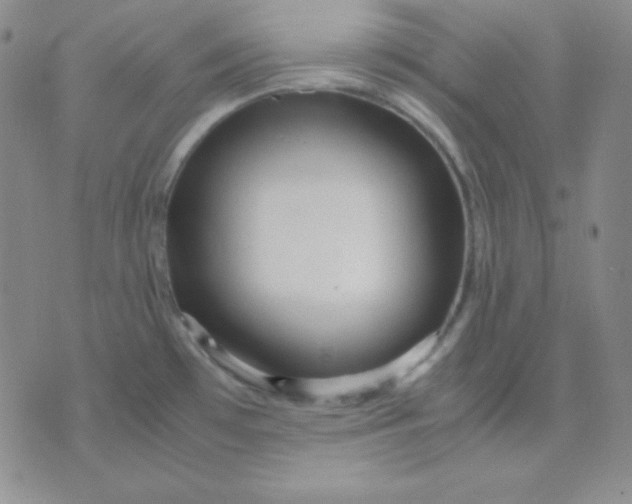 X0000071971481200607282046