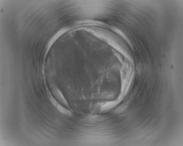 X0000071971482200607282046