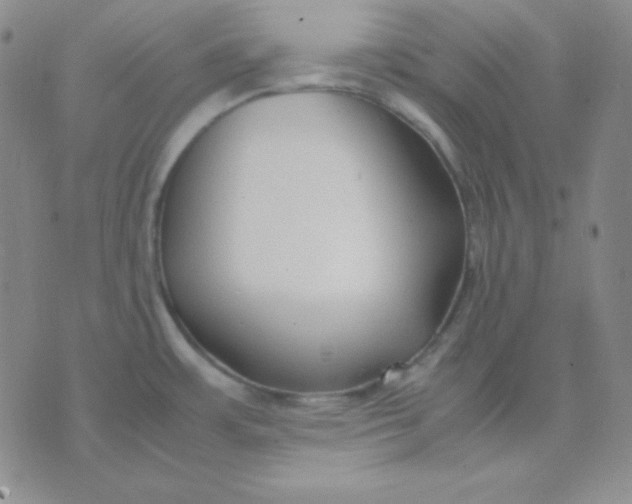 X0000071971483200607282046