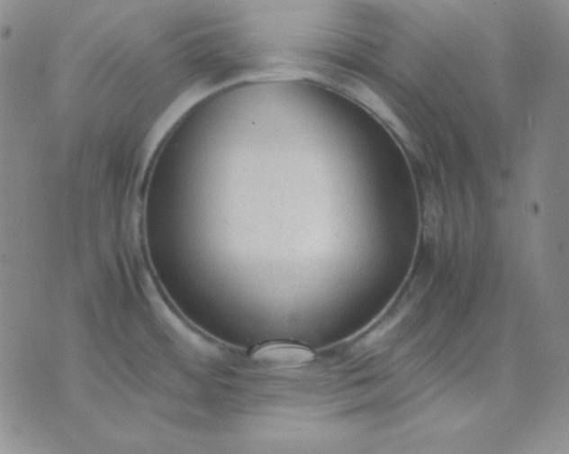 X0000071971484200607282045