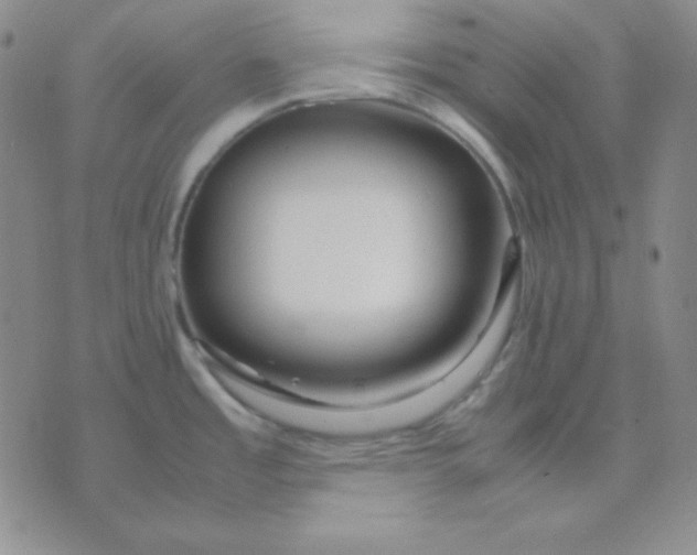 X0000071971485200607282045