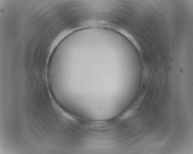 X0000071971486200607282045