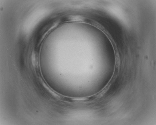 X0000071971487200607282045