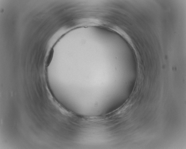 X0000071971488200607282045