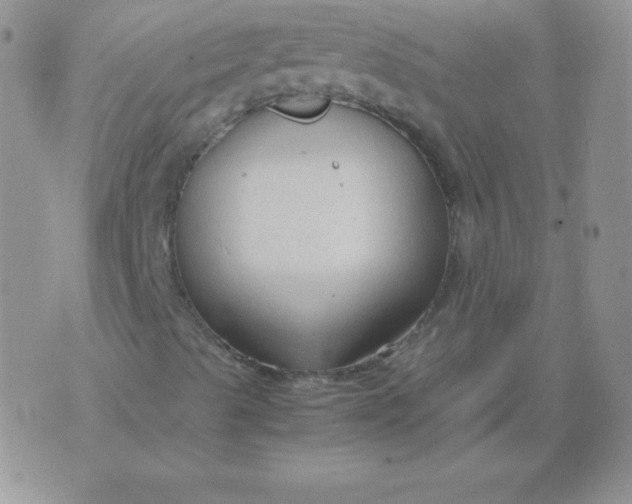 X0000071971489200607282045