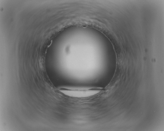 X0000071971490200607282045