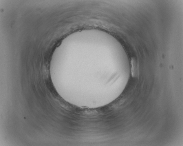 X0000071971491200607282045