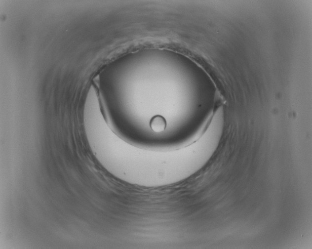 X0000071971492200607282045