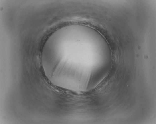 X0000071971493200607282045