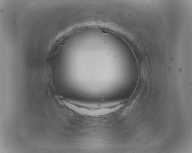 X0000071971494200607282045