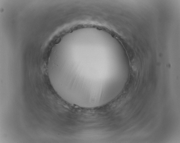 X0000071971495200607282045