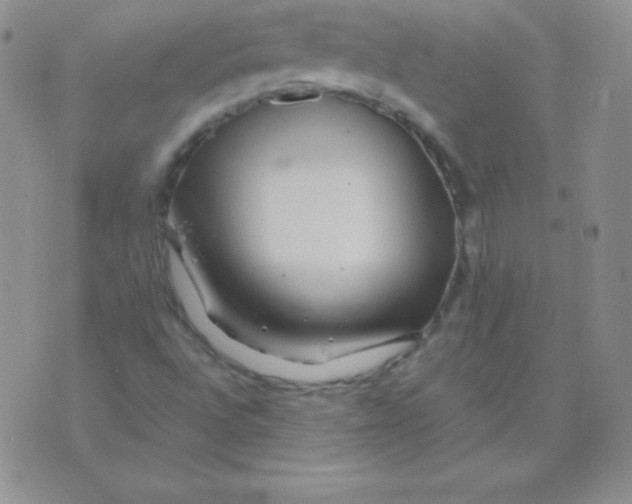 X0000071971496200607282045