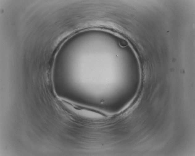 X0000071971497200607282045