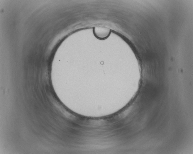 X0000071971498200607282045