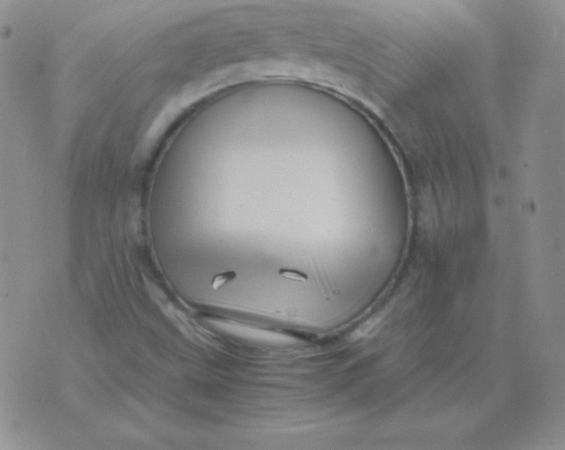 X0000071971499200607282045