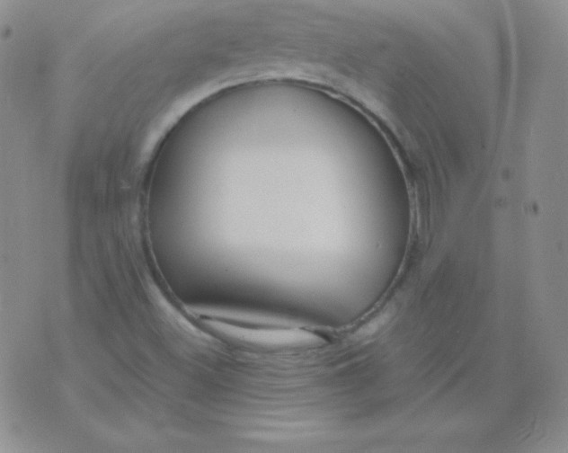 X0000071971500200607282045